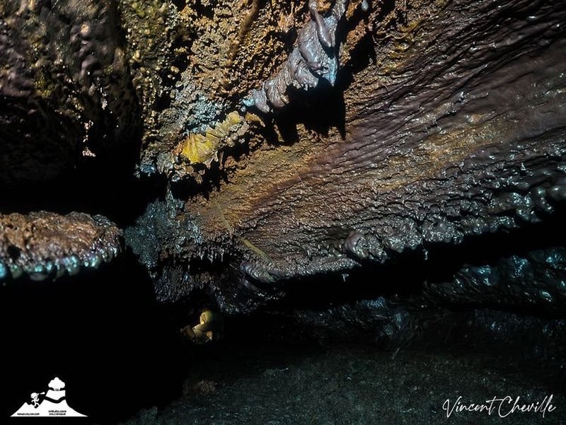 Stalactites de lave dorées